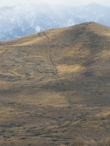 Cerro Picado