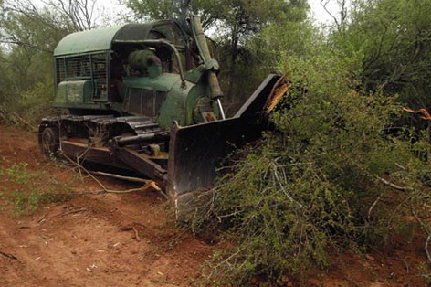 Desmonte Impenetrable