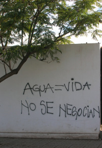 DSCN8747