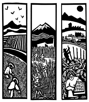 Vida comunitaria