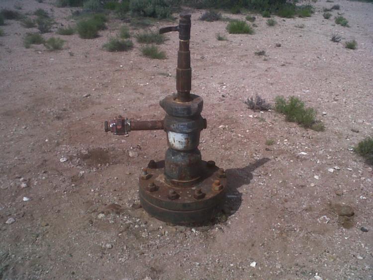 Foto// Diario Río Negro